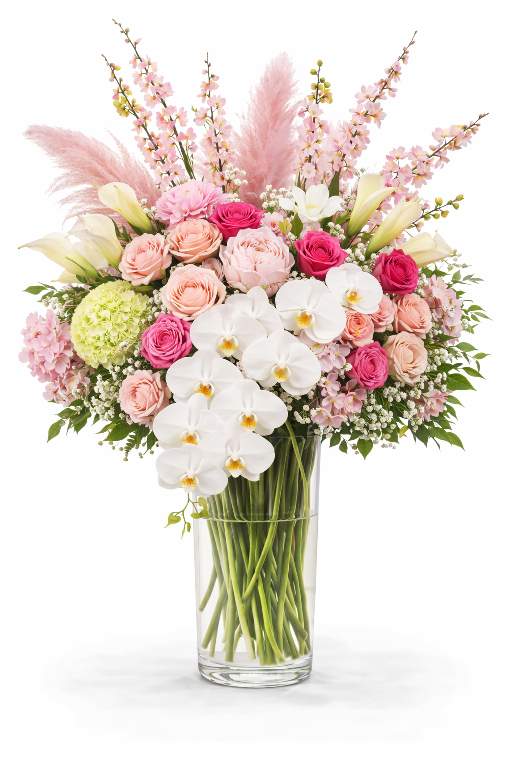 Blush Orchid Grandeur