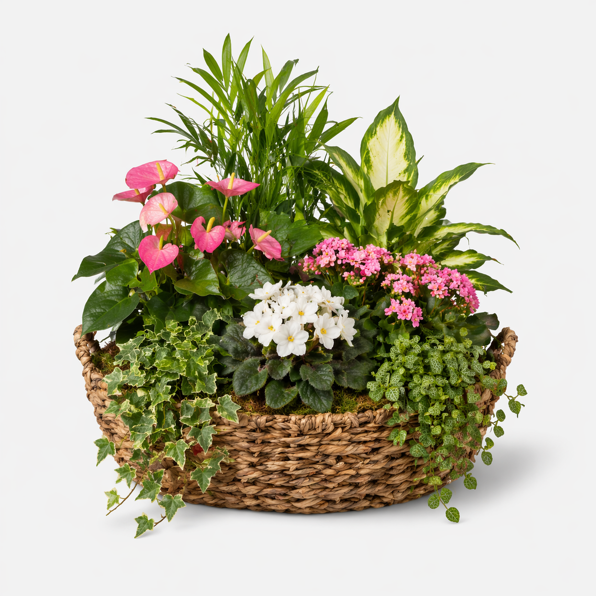 Blooming Garden