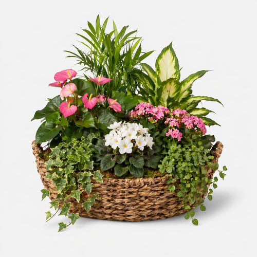 Blooming Garden