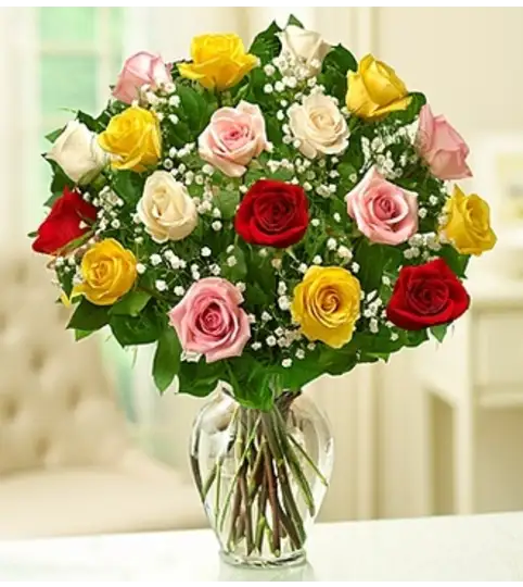 Rose Elegance 2Dozens