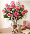 Pink Roses-1Dozen