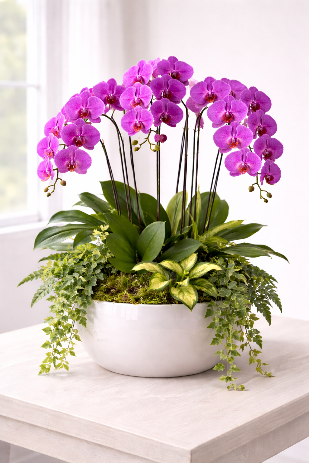 Royal Orchid Cascading