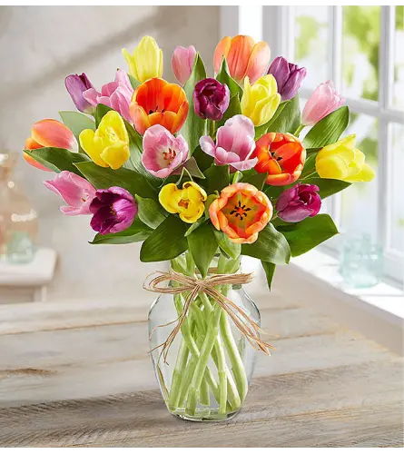 Tulips Time